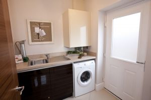 chestnut shadwell 24 sm.jpg